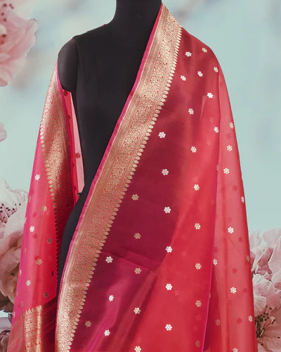 Elevate Your Style with Organza Silk Sarees