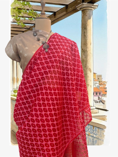 Chilly Red Organza Saree