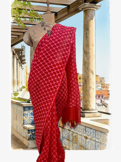 Chilly Red Organza Saree