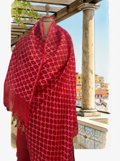 Chilly Red Organza Saree