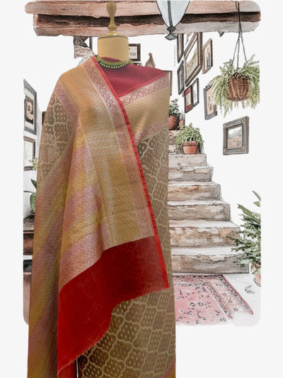 Roseate Brown Organza Saree