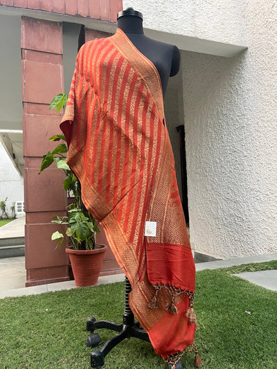 Earthy Rust Matka Georgette Stole Dupatta