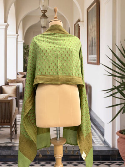 Sirisa Pista Green Matka Georgette Stole Dupatta