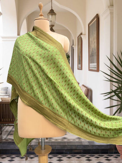 Sirisa Pista Green Matka Georgette Stole Dupatta