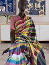 Rainbow Checks Bhujodi Saree