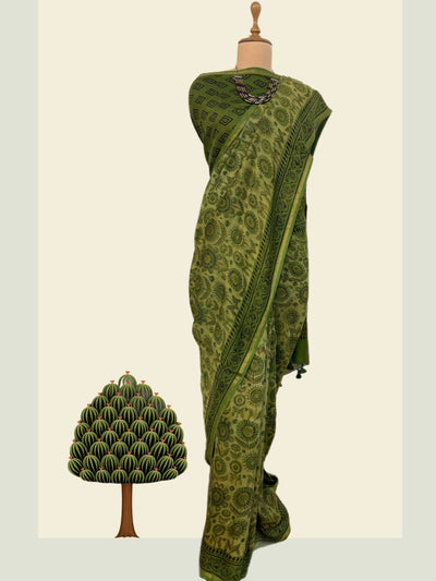Pedana Pista Green Kalamkari Cotton Saree