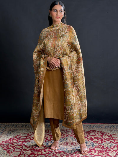 Nargis Chikoo Brown Crepe Dupatta