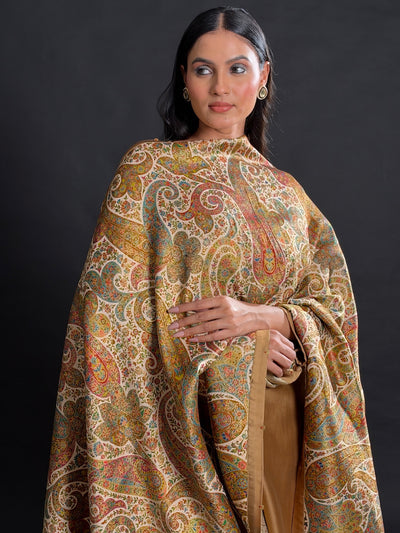 Nargis Chikoo Brown Crepe Dupatta