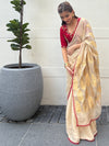 Gilded Dreams Gold & Red chiffon Tissue Sari & Blouse