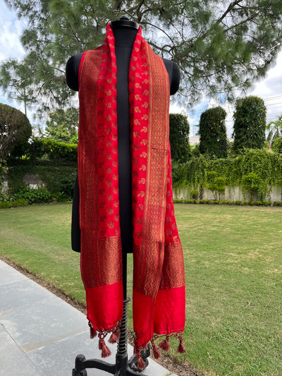 Red Matka Georgette Stole Dupatta