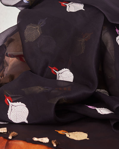 Midnight Envy Black Muslin Organza Saree