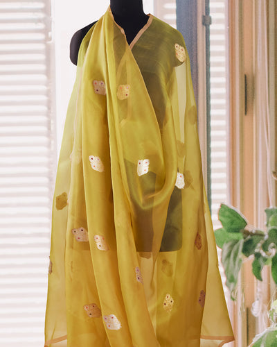 Congo Pale Green Muslin Organza Saree