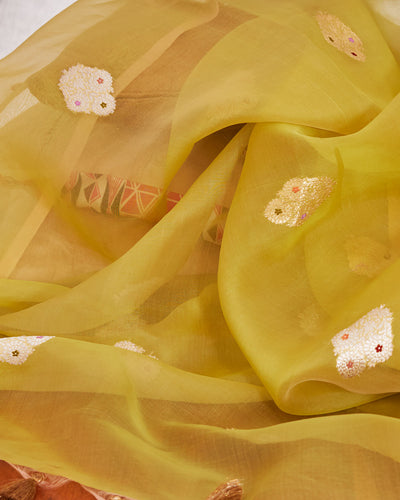 Congo Pale Green Muslin Organza Saree