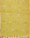 Congo Pale Green Muslin Organza Saree