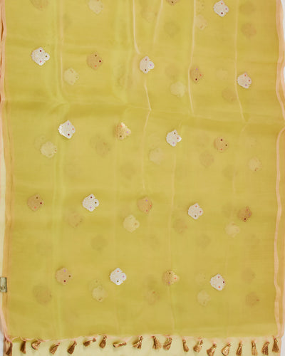 Congo Pale Green Muslin Organza Saree