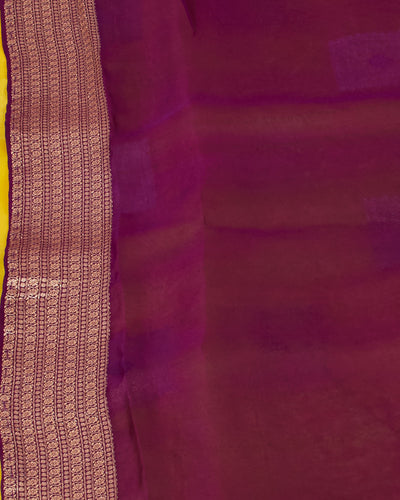 Congo Pale Green Muslin Organza Saree