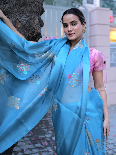 Delphi Blue Kora Chiffon Sari