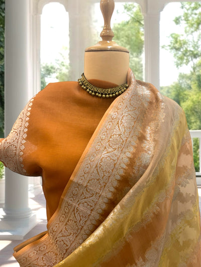 Cartagena Gold Organza Saree