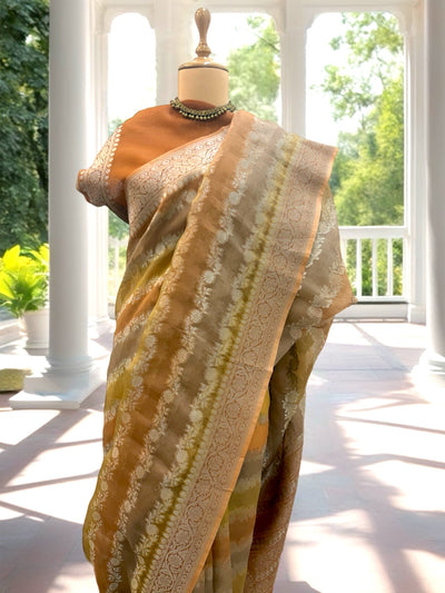 Cartagena Gold Organza Saree