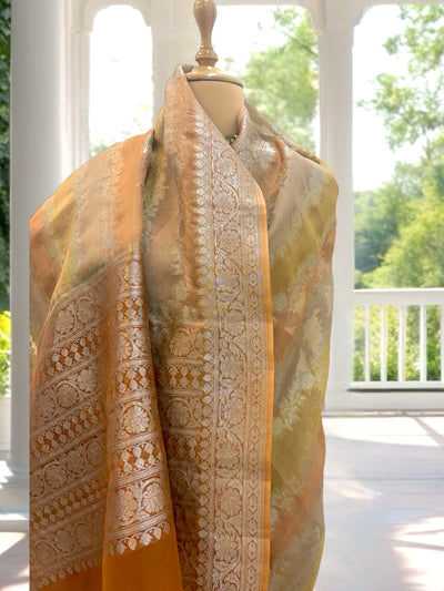 Cartagena Gold Organza Saree