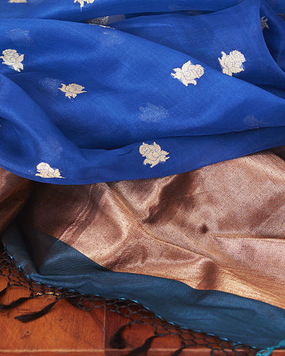 Neelambra Blue Kanchi Organza Saree
