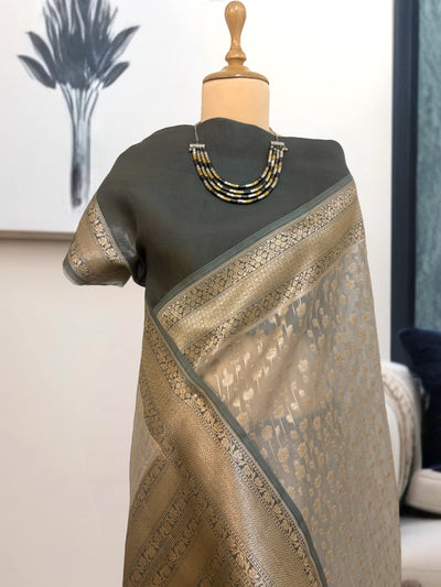 Charushila Khaki Organza Saree