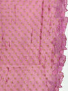 Windermere Pink Tissue Cutwork Saree