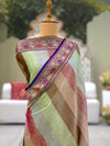 Panorama Multicolour Tissue Saree