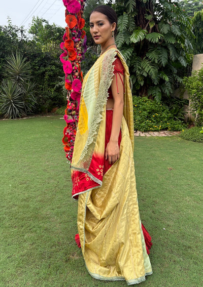 Rust & Mehendi Lehenga Saree Set
