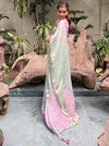Tree of Life Sea Green chiffon tissue Saree