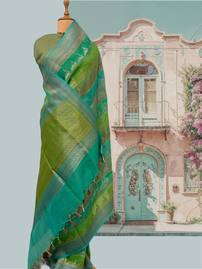 Savannah Sea Green Organza Sari