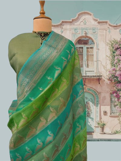 Savannah Sea Green Organza Sari