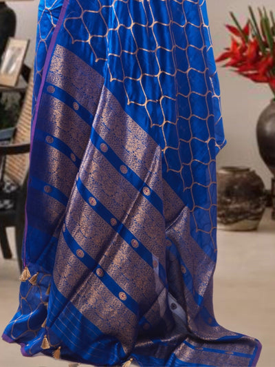 Nilgiri Blue Chinya Silk Sari