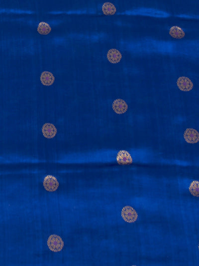 Nilgiri Blue Chinya Silk Sari