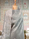 St Ives Silver Tissue Cutwork Saree