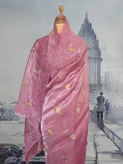 Tuscany Pink Embroidered Tissue Sari