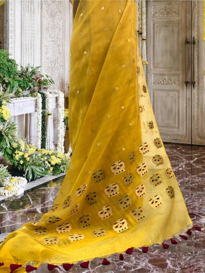 Crowning Glory Yellow Organza Saree