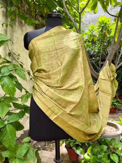 Green Georgette Brocade Dupatta