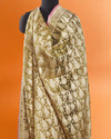 Kinnaur Apple Green Tissue Saree