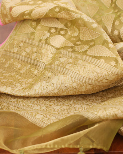 Kinnaur Apple Green Tissue Saree